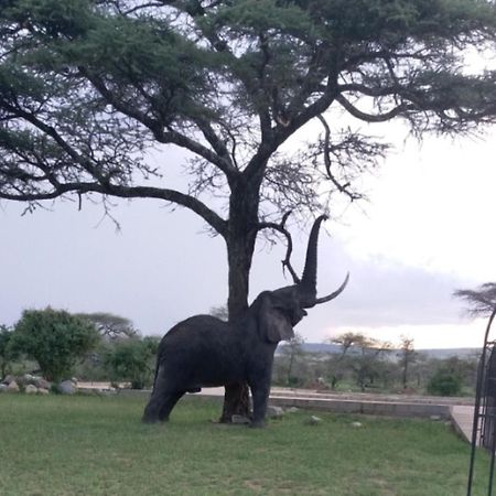 Seronera Wildlife Lodge Serengeti Luaran gambar