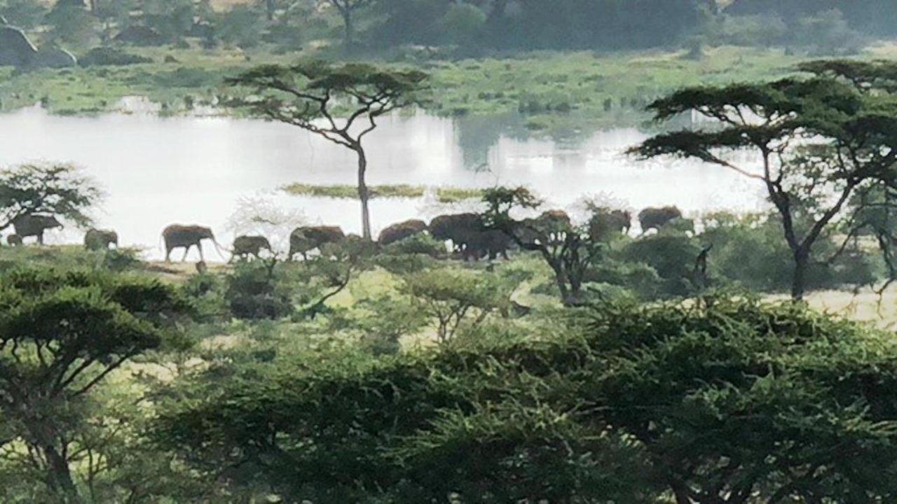 Seronera Wildlife Lodge Serengeti Luaran gambar