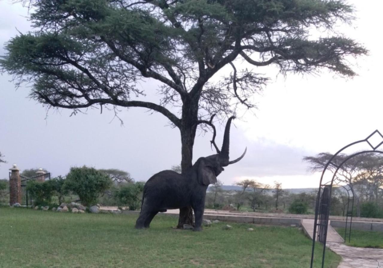 Seronera Wildlife Lodge Serengeti Luaran gambar